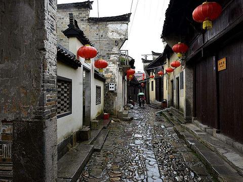 绿美广东 青年先行 | 郁南县“青年林”认捐共建倡议书
